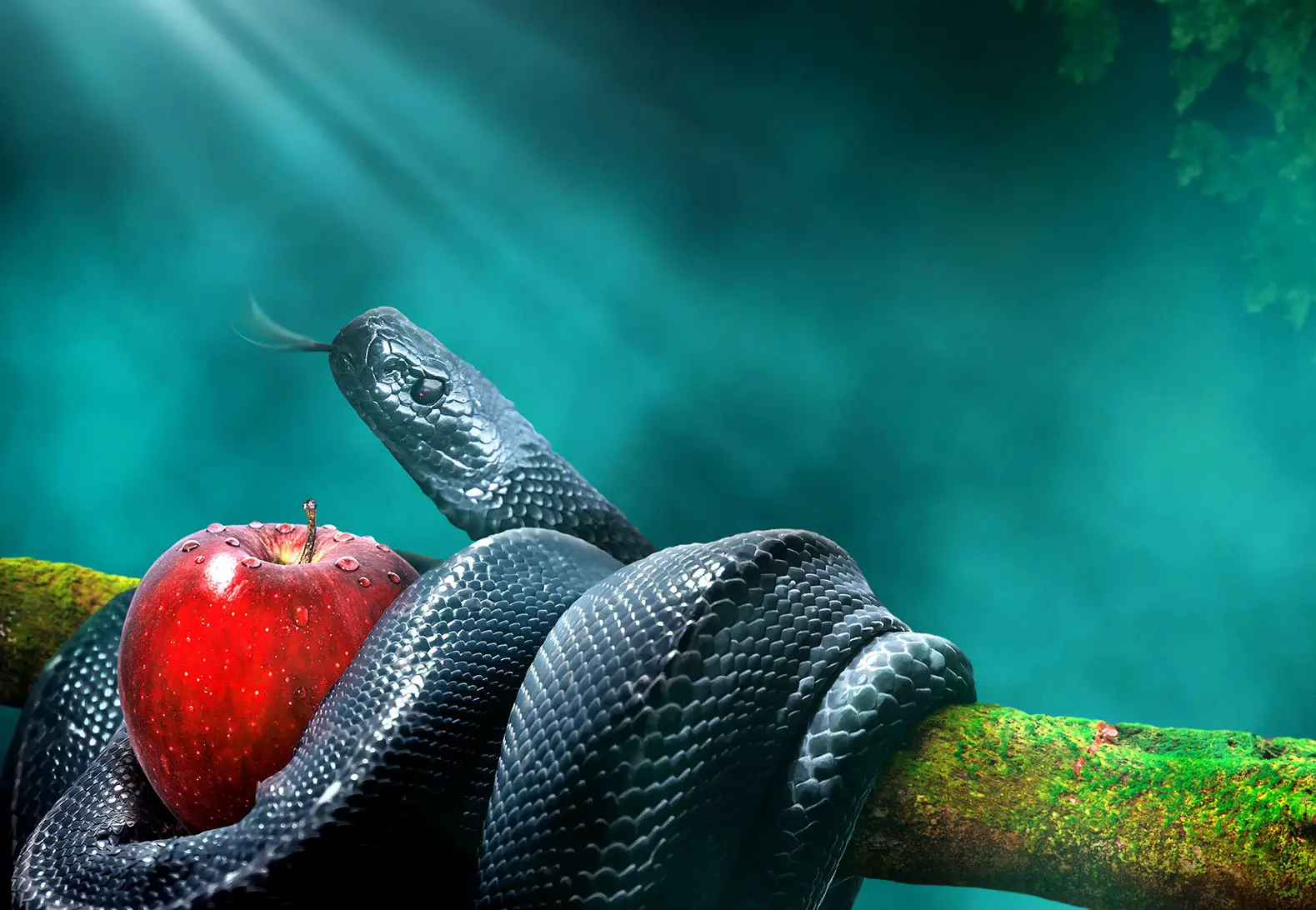 Black snake with an apple fruit in a branch of a tree